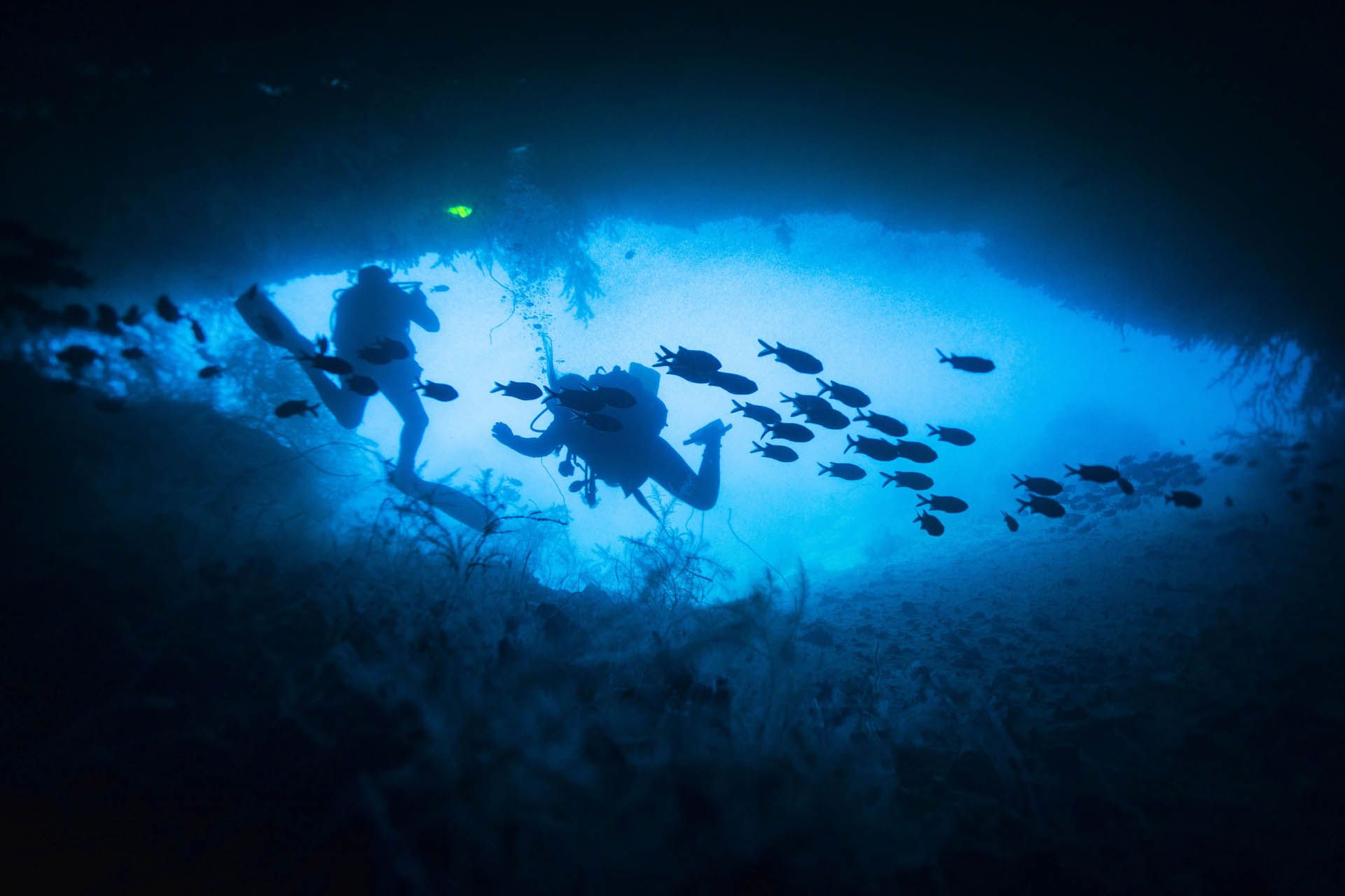 Stingray resting camouflaged on the sandy ocean floor